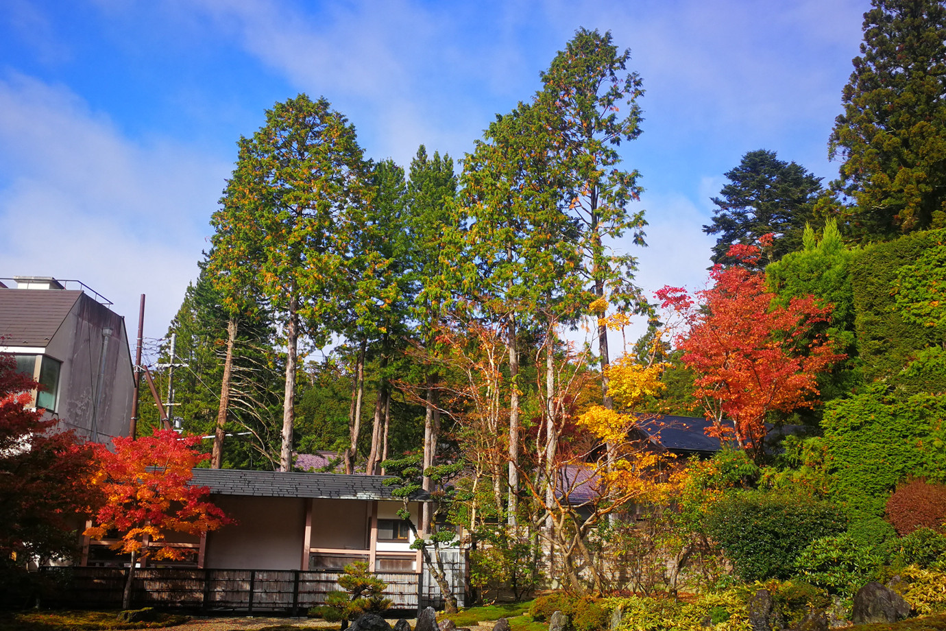 高野山宿坊-總持院